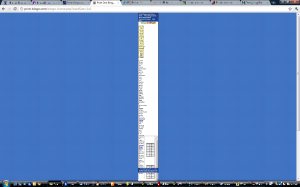 Broken PDF rendering in an IFRAME in Google Chrome 8 - screenshot from print-bingo.com